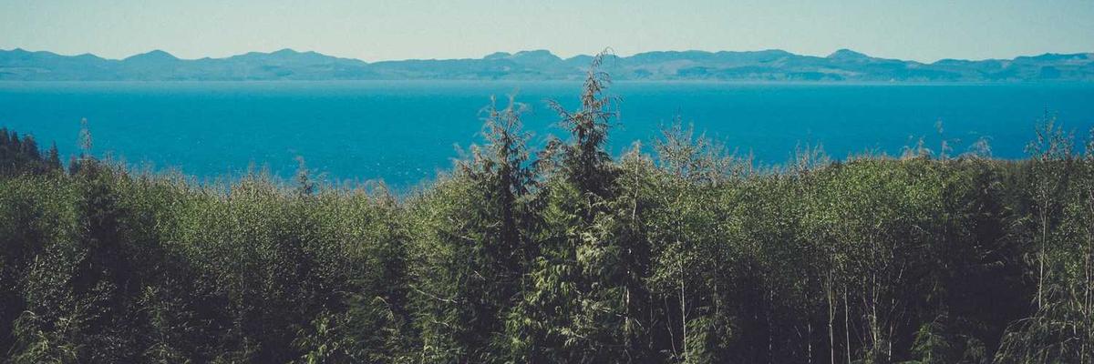 Modern Apartment in Shibuya